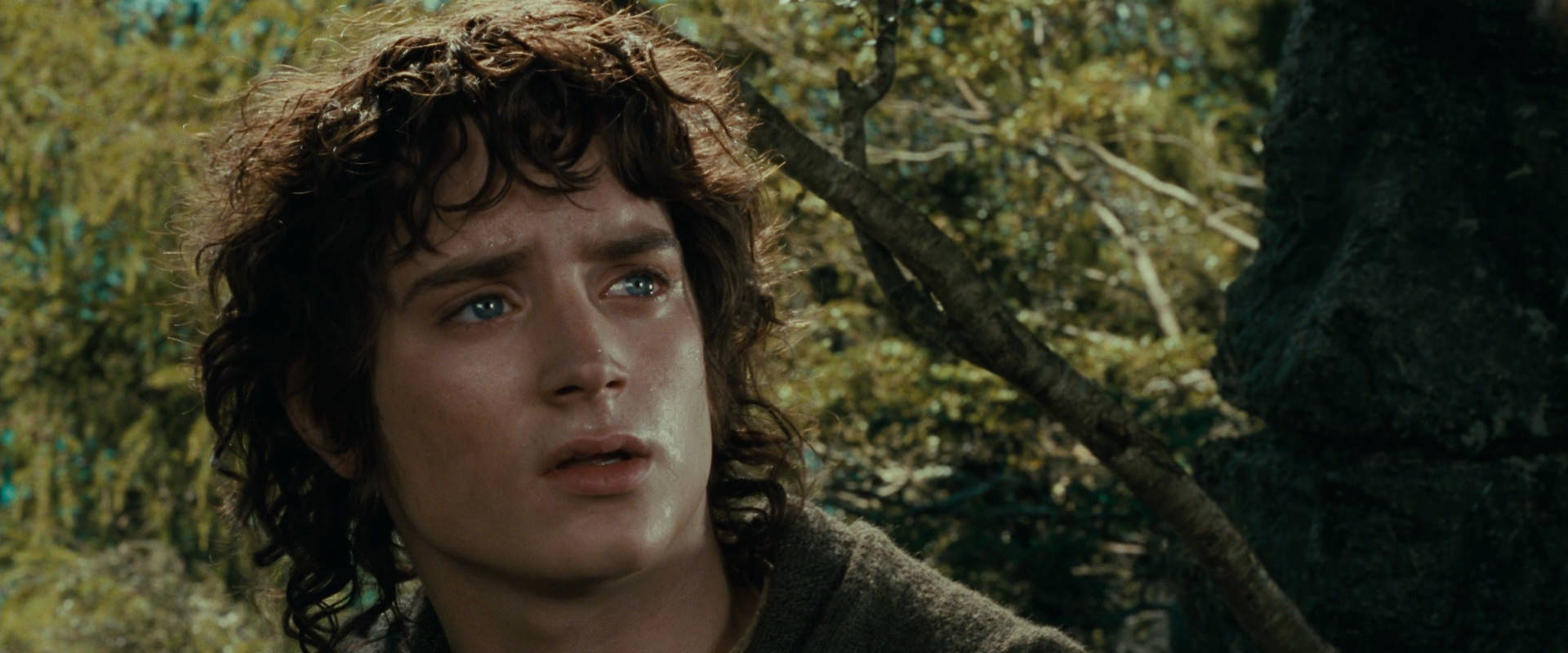 The Lord of the Rings: The Fellowship of the Ring (2001) movie still 21766