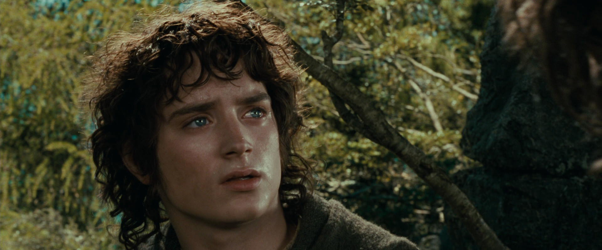 The Lord of the Rings: The Fellowship of the Ring (2001) HD screenshot 21767