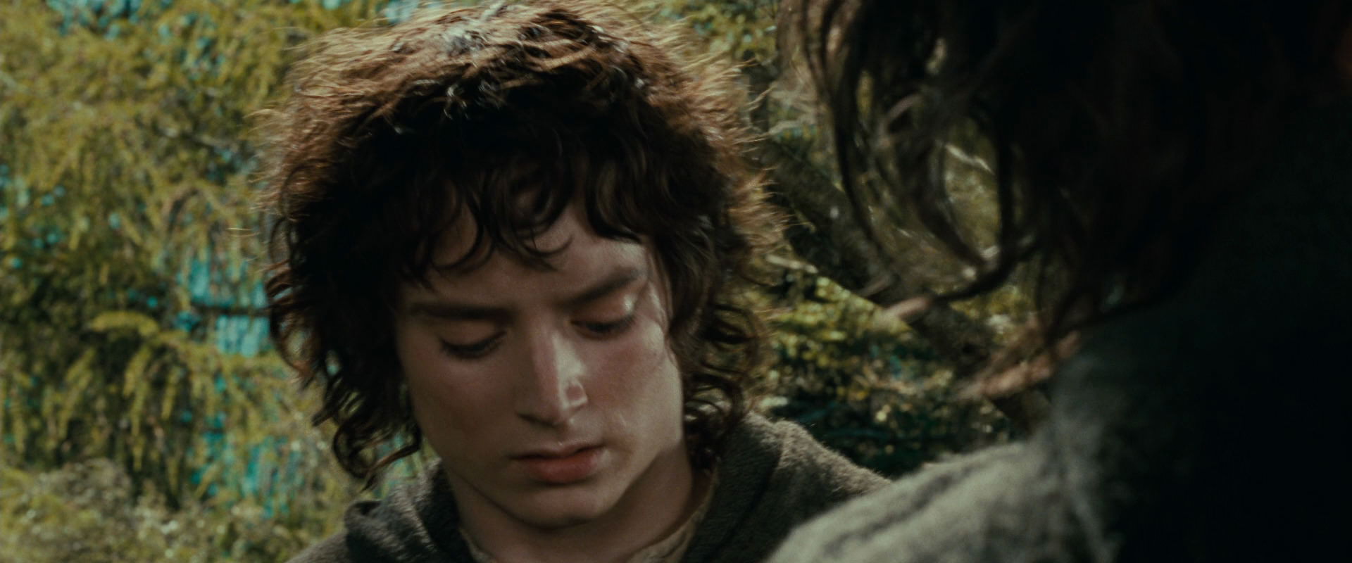 The Lord of the Rings: The Fellowship of the Ring (2001) screencap 21768