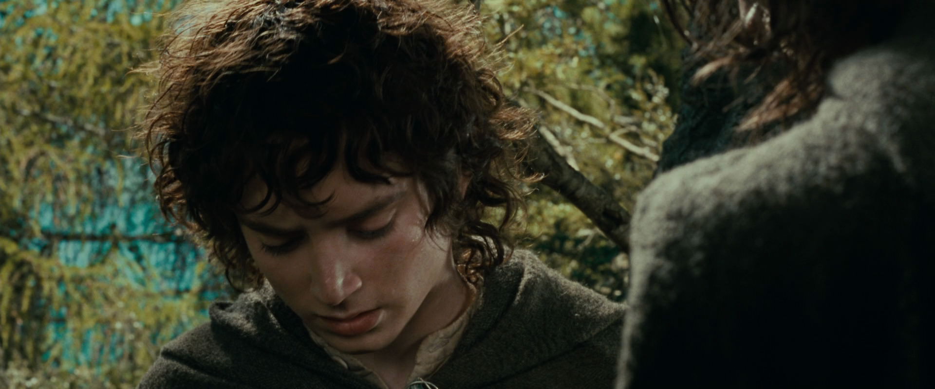 The Lord of the Rings: The Fellowship of the Ring (2001) screencap 21774