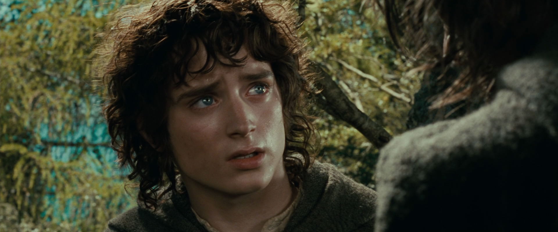 The Lord of the Rings: The Fellowship of the Ring (2001) movie still 21775
