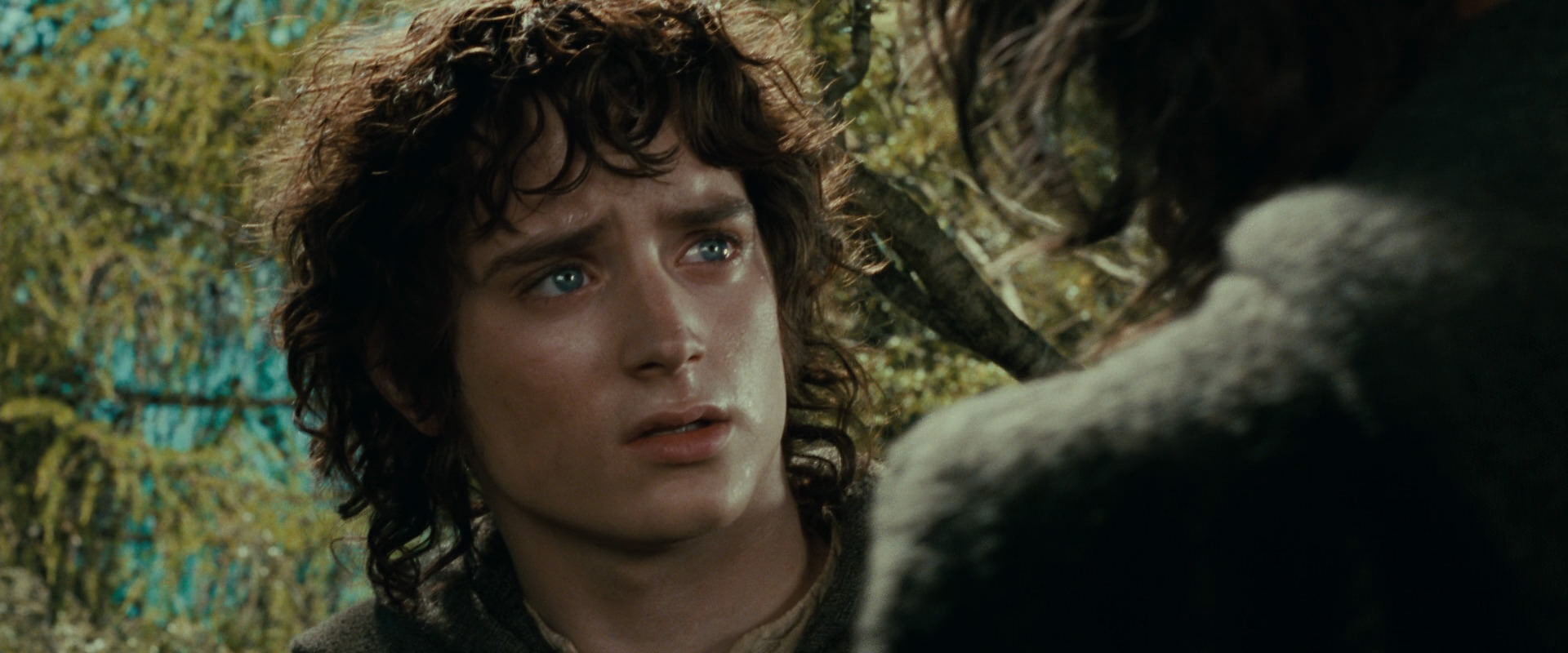 The Lord of the Rings: The Fellowship of the Ring (2001) HD screenshot 21776
