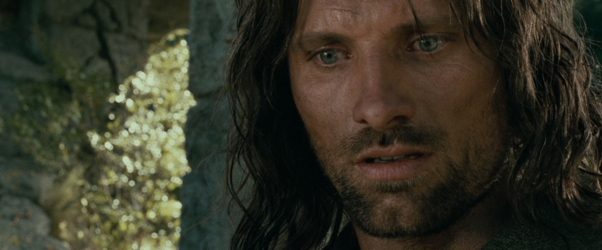 The Lord of the Rings: The Fellowship of the Ring (2001) screencap 21777