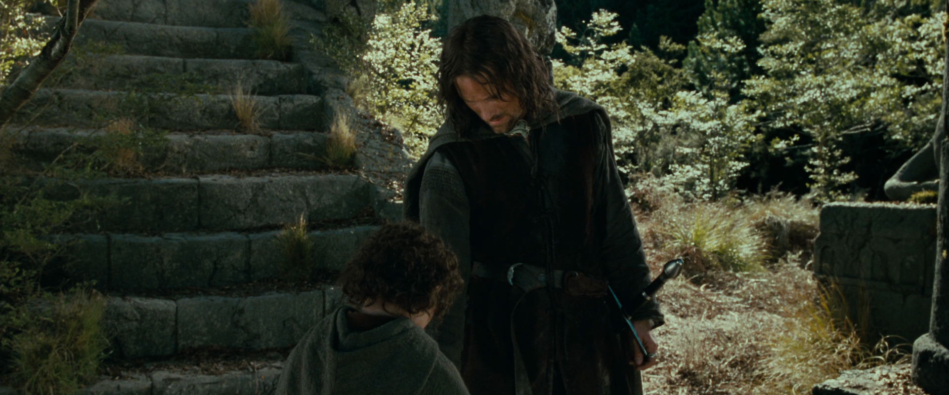 The Lord of the Rings: The Fellowship of the Ring (2001) movie still 21781