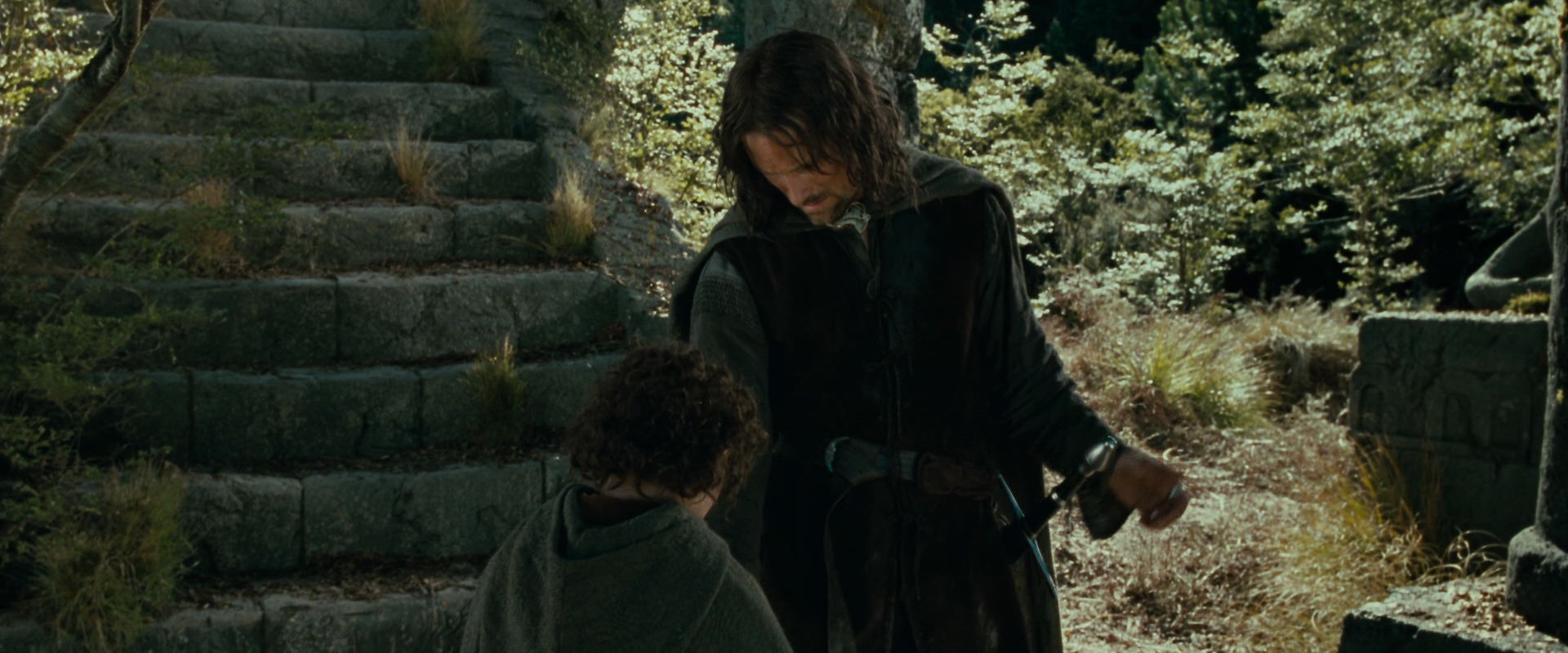 The Lord of the Rings: The Fellowship of the Ring (2001) HD screenshot 21782