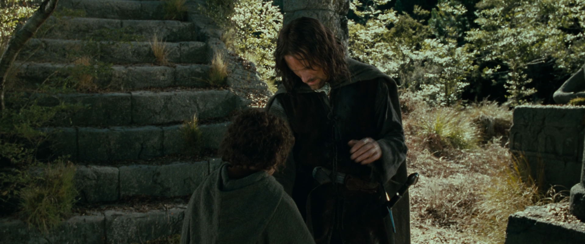 The Lord of the Rings: The Fellowship of the Ring (2001) screencap 21783