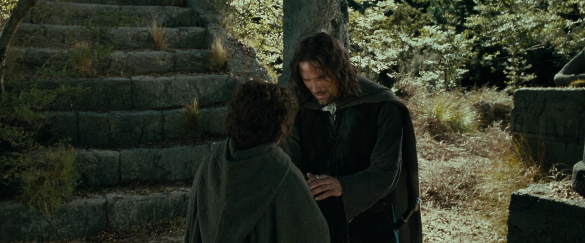 The Lord of the Rings: The Fellowship of the Ring (2001) movie still 21784