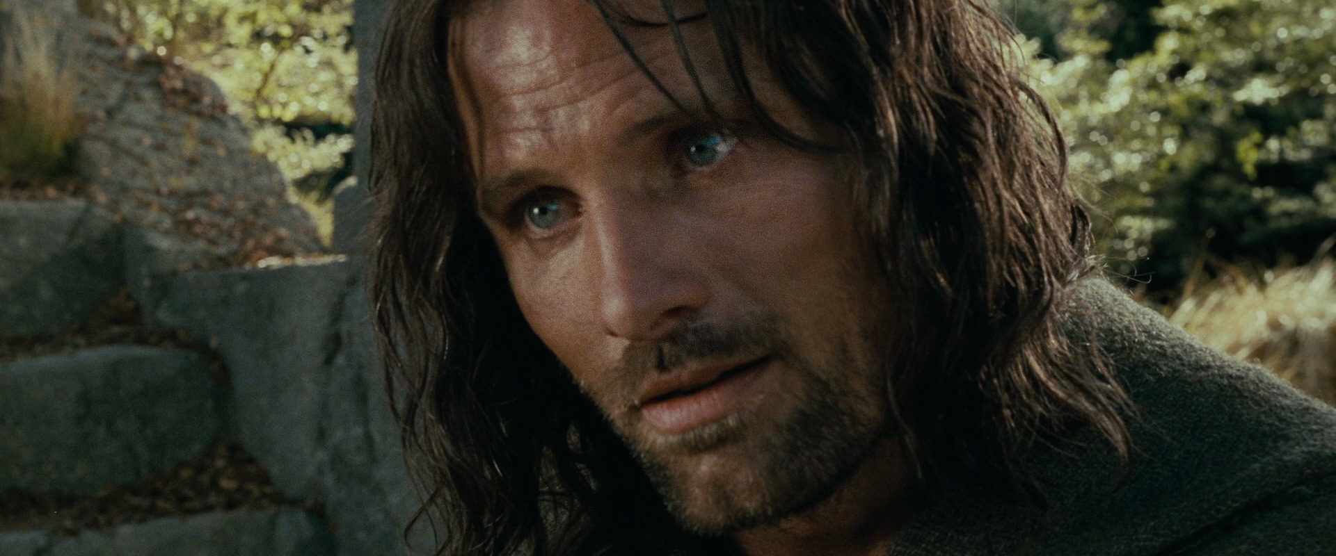 The Lord of the Rings: The Fellowship of the Ring (2001) screencap 21795