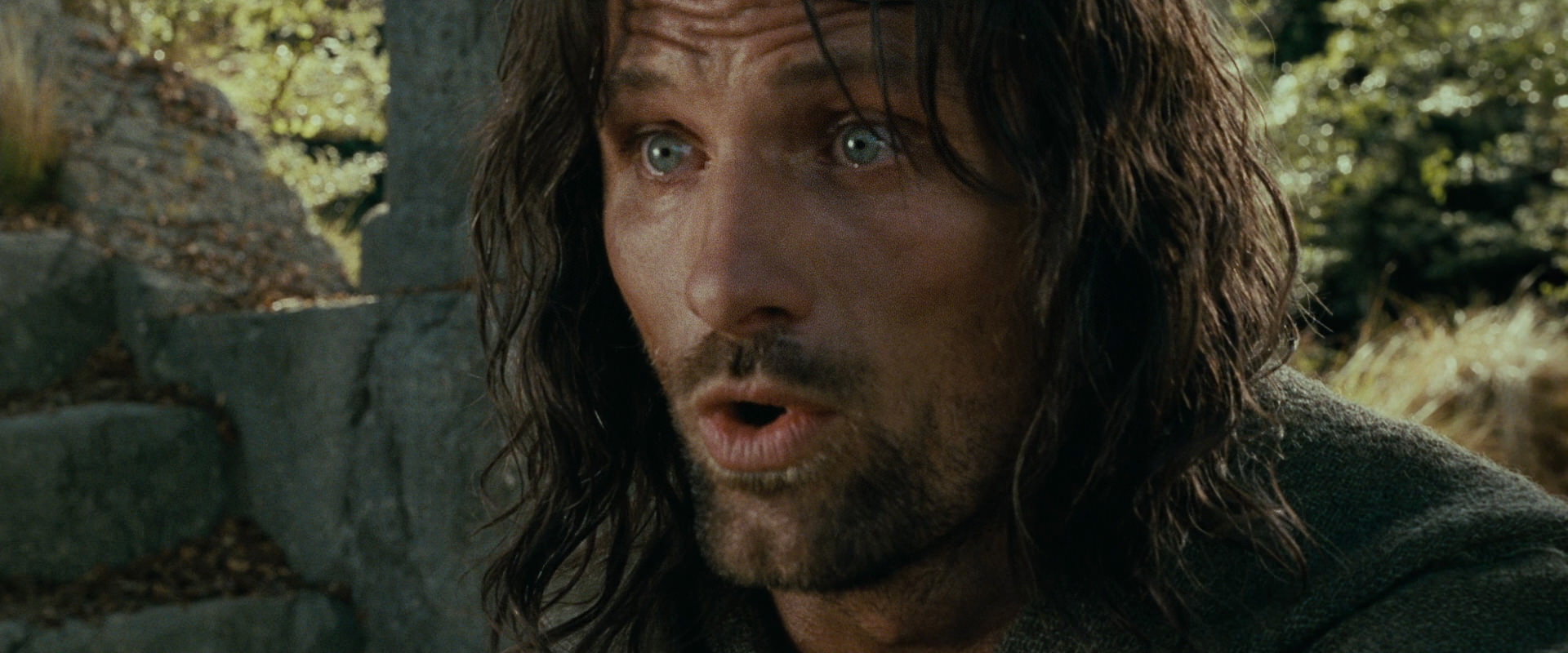 The Lord of the Rings: The Fellowship of the Ring (2001) screencap 21807
