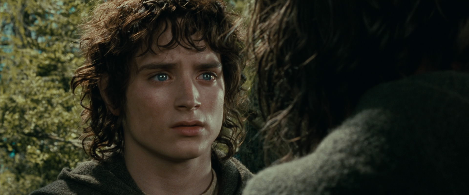 The Lord of the Rings: The Fellowship of the Ring (2001) HD screenshot 21815