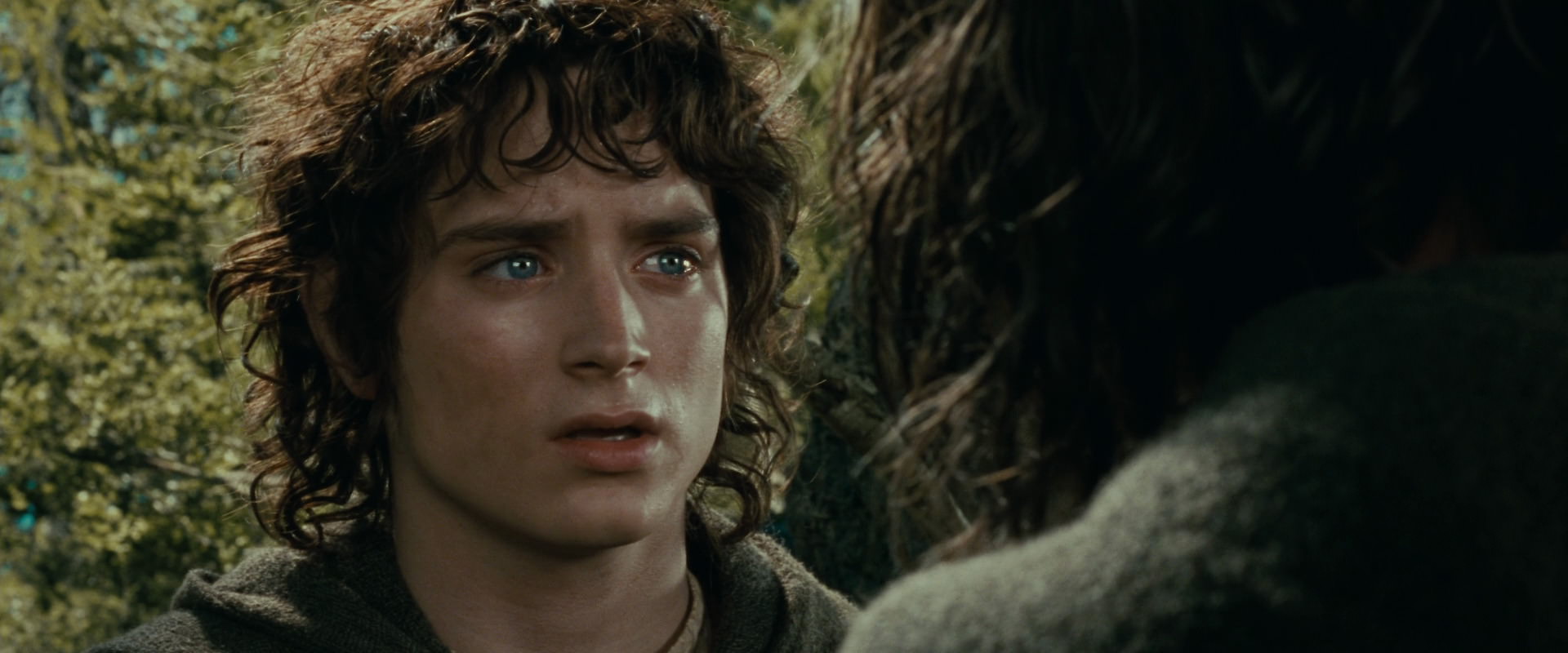 The Lord of the Rings: The Fellowship of the Ring (2001) screencap 21816