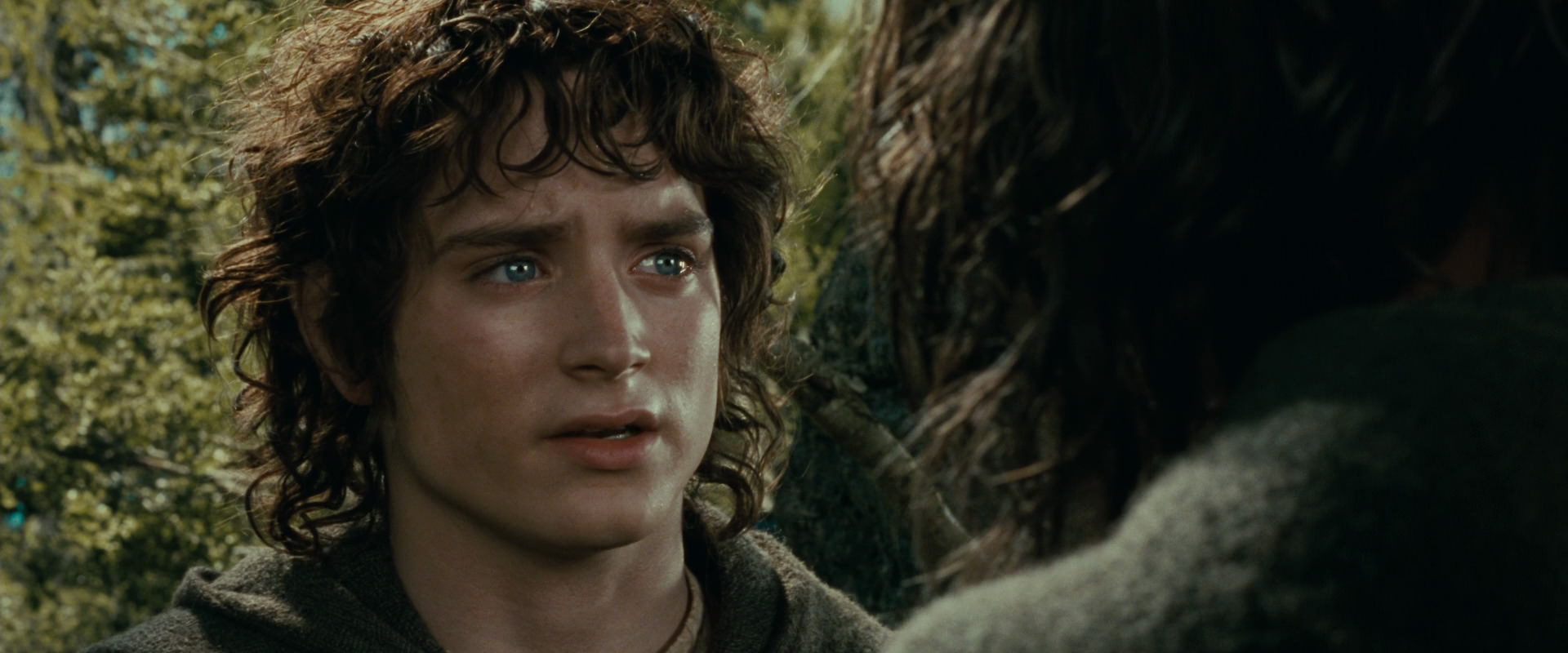The Lord of the Rings: The Fellowship of the Ring (2001) movie still 21817