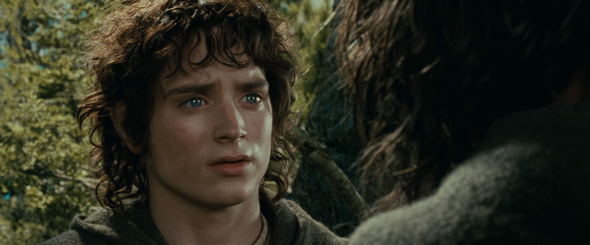 The Lord of the Rings: The Fellowship of the Ring (2001) HD screenshot 21818