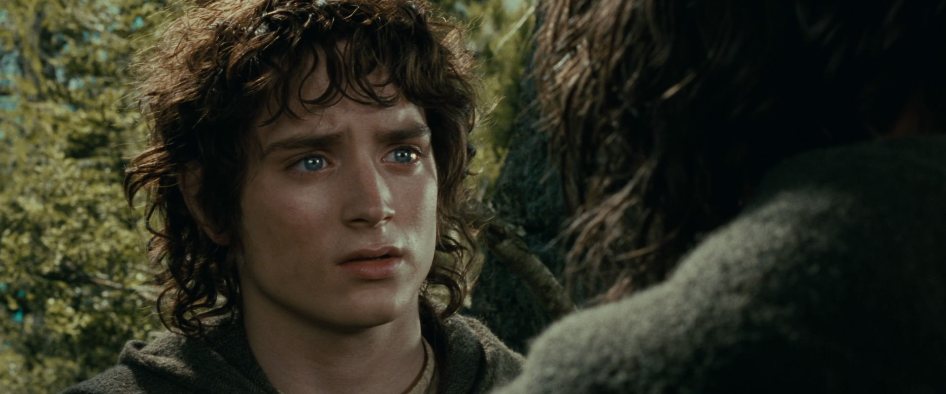 The Lord of the Rings: The Fellowship of the Ring (2001) screencap 21819