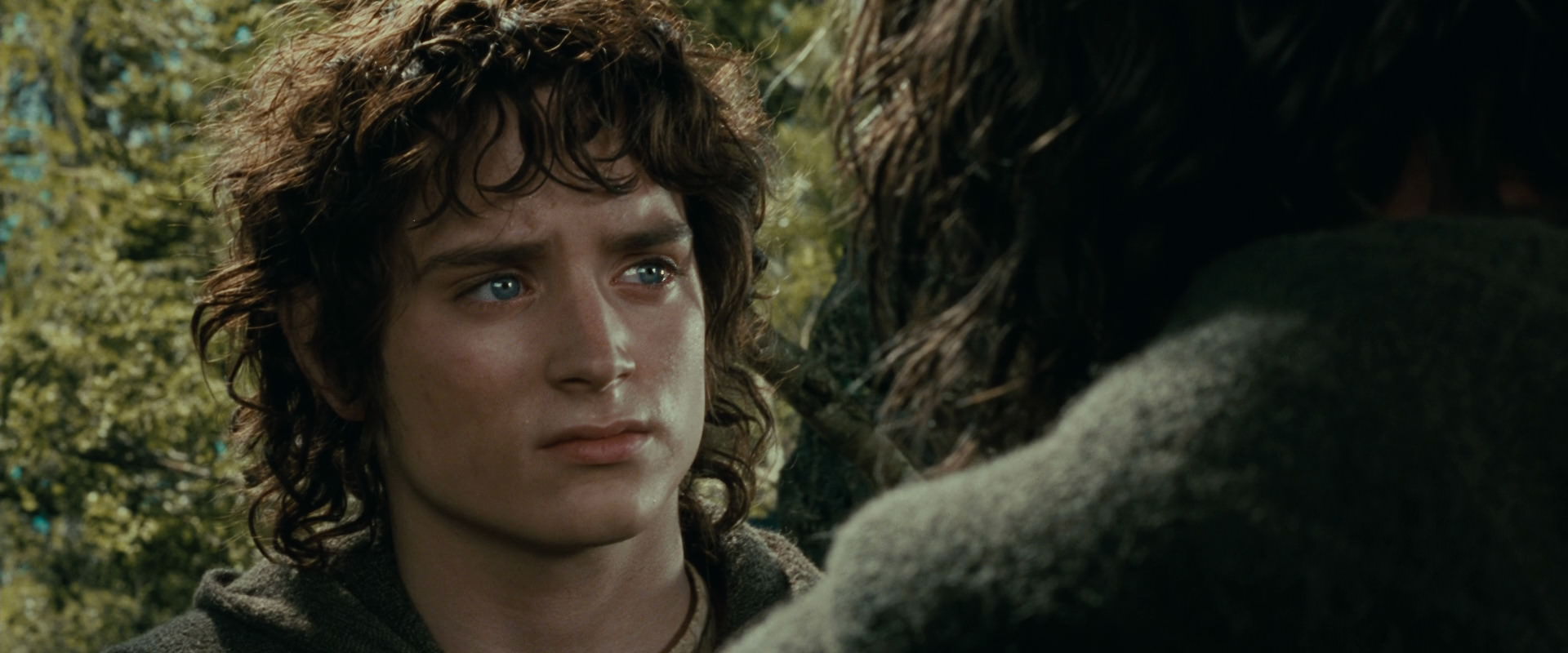The Lord of the Rings: The Fellowship of the Ring (2001) movie still 21823