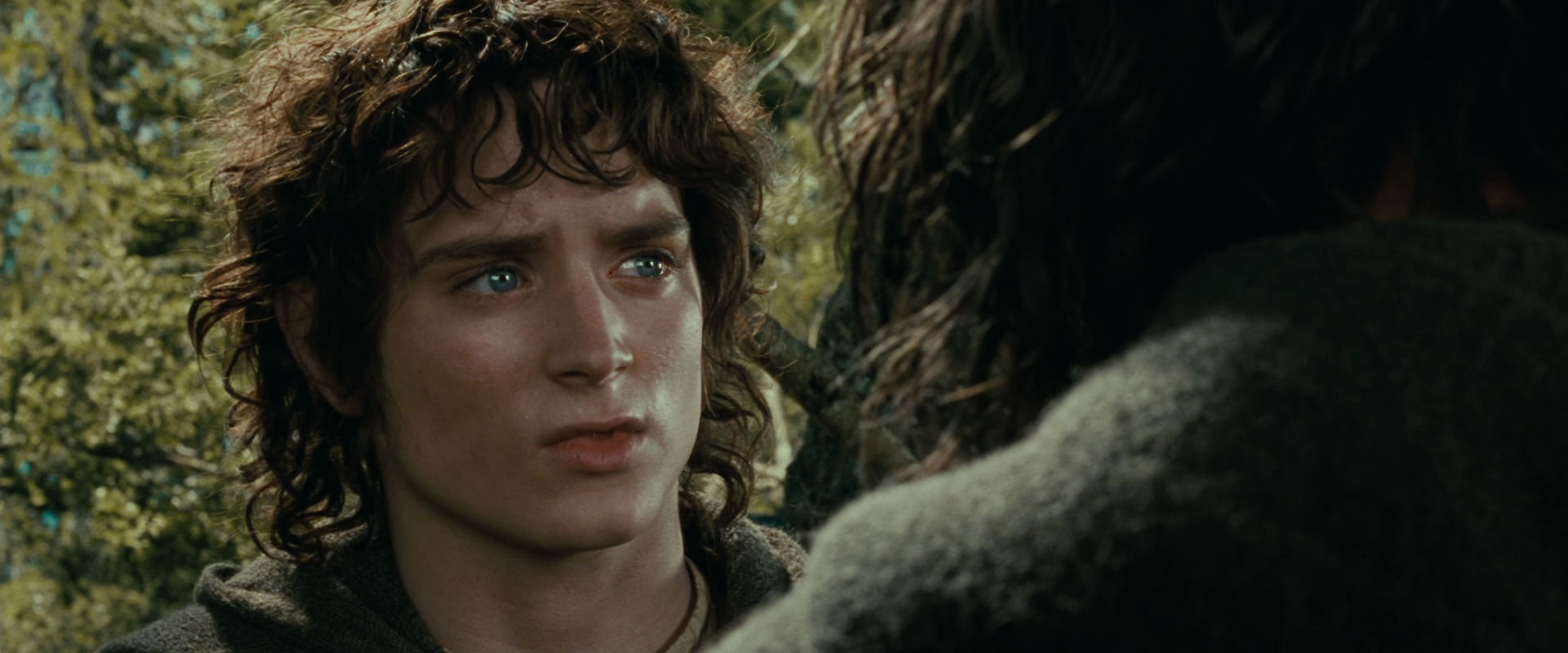 The Lord of the Rings: The Fellowship of the Ring (2001) HD screenshot 21824