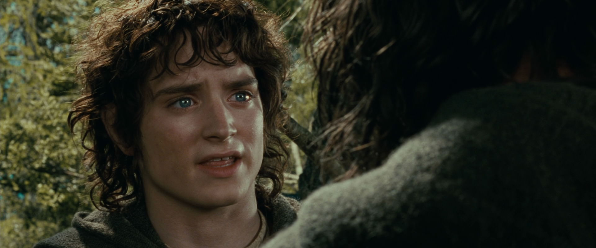 The Lord of the Rings: The Fellowship of the Ring (2001) screencap 21825