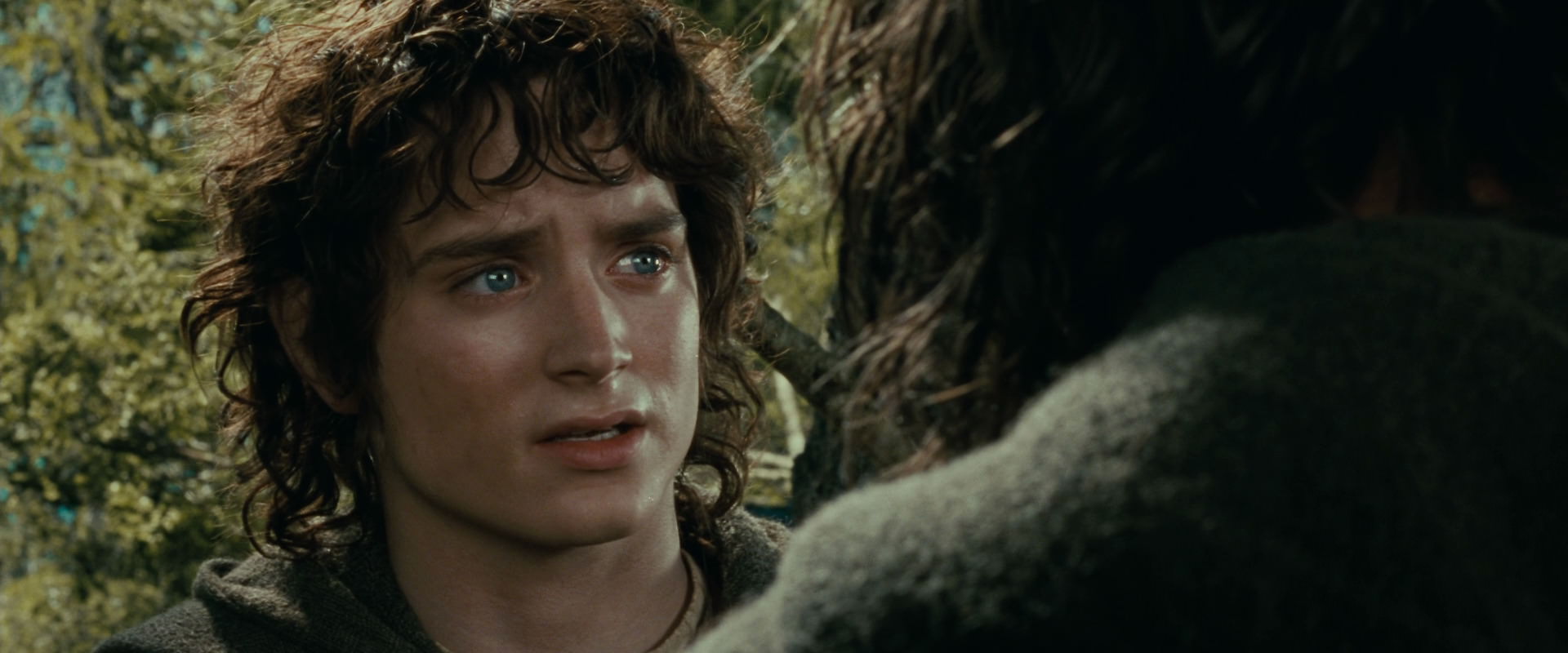 The Lord of the Rings: The Fellowship of the Ring (2001) movie still 21826