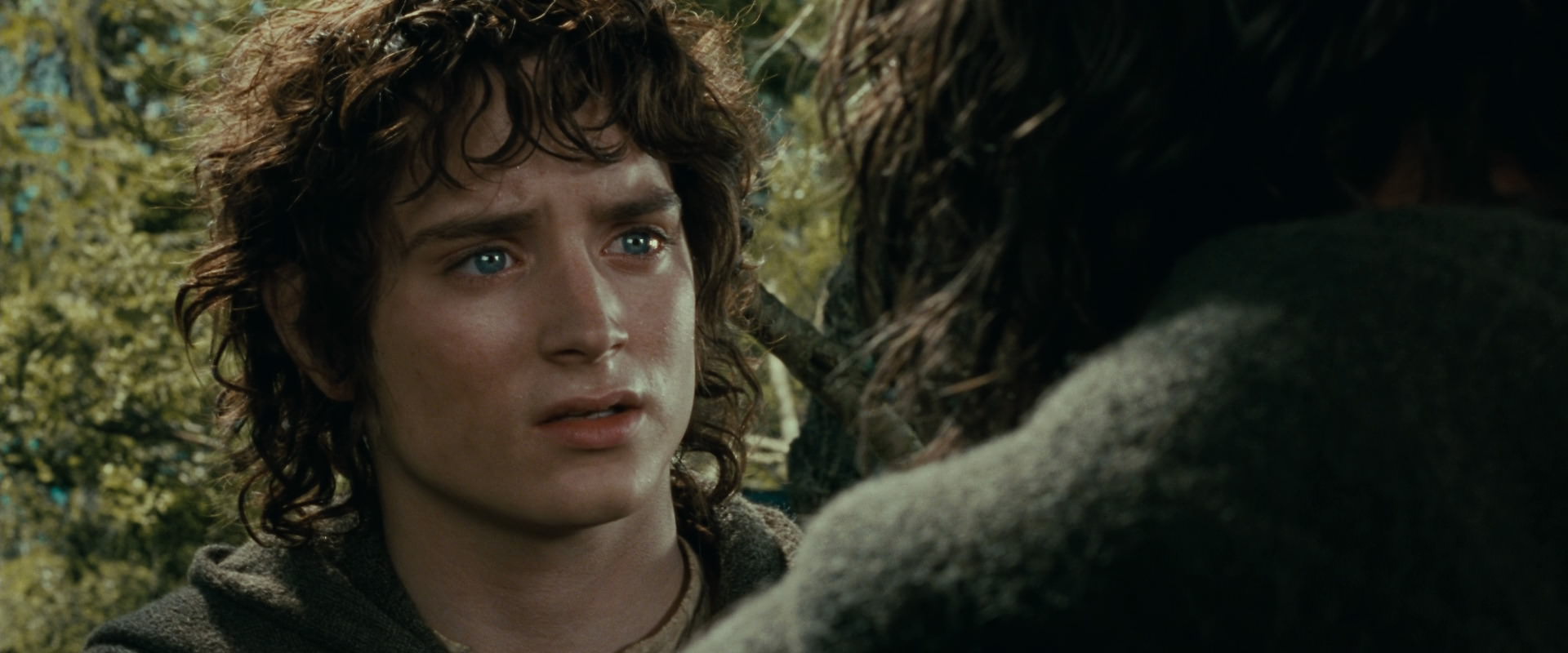The Lord of the Rings: The Fellowship of the Ring (2001) HD screenshot 21827