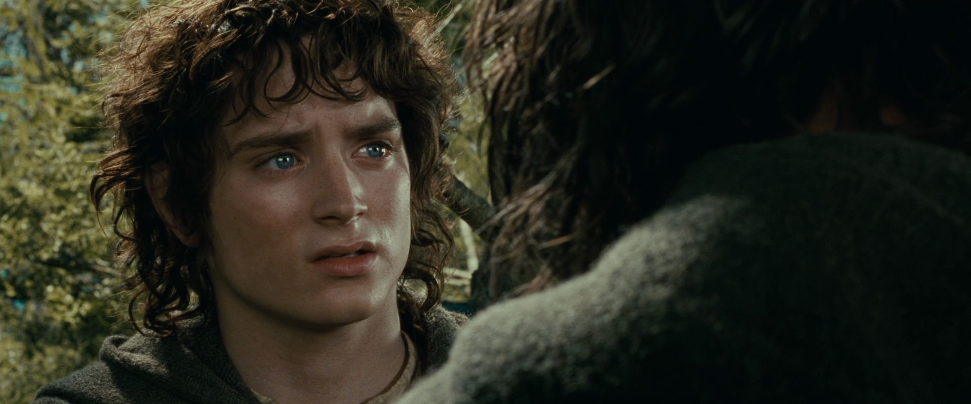 The Lord of the Rings: The Fellowship of the Ring (2001) screencap 21828