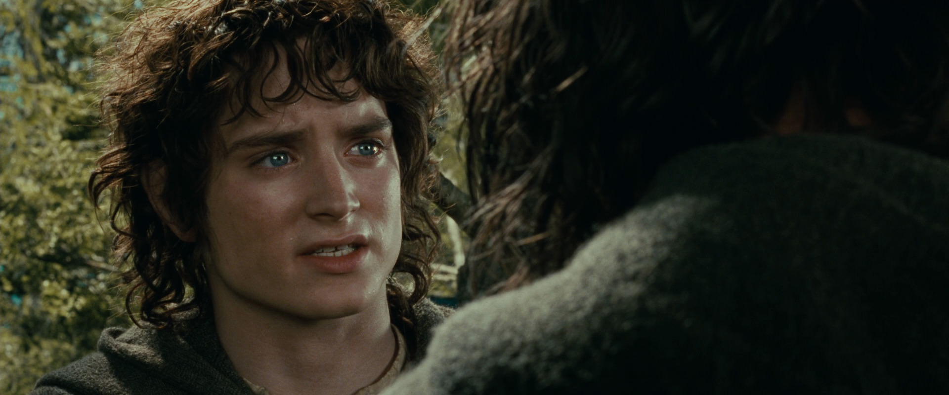 The Lord of the Rings: The Fellowship of the Ring (2001) movie still 21829