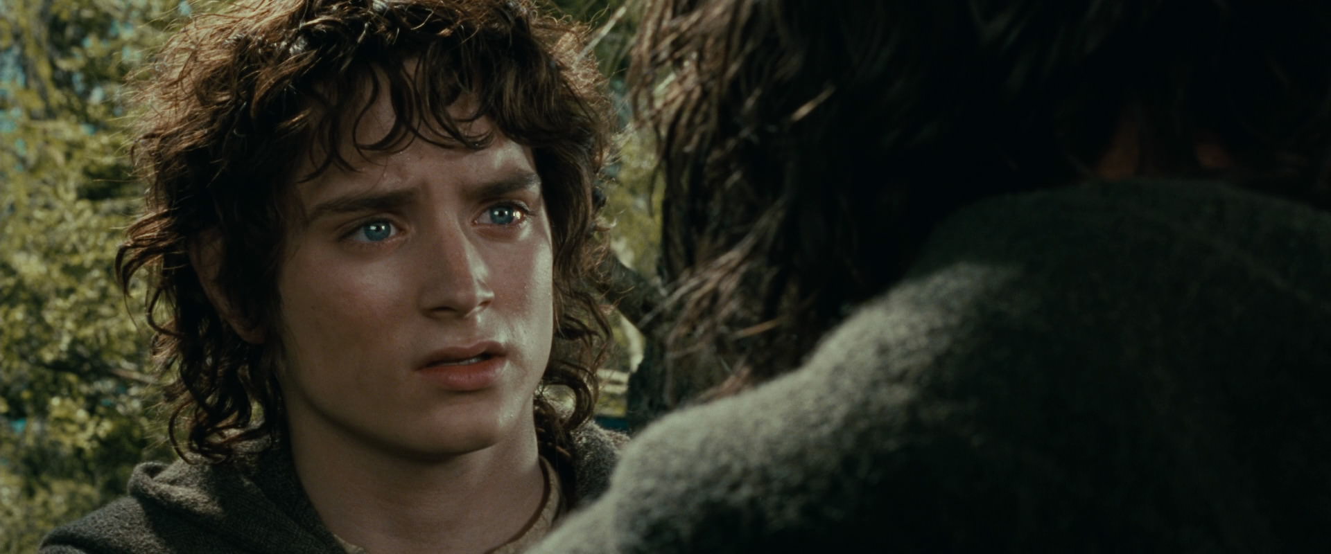 The Lord of the Rings: The Fellowship of the Ring (2001) movie still 21832