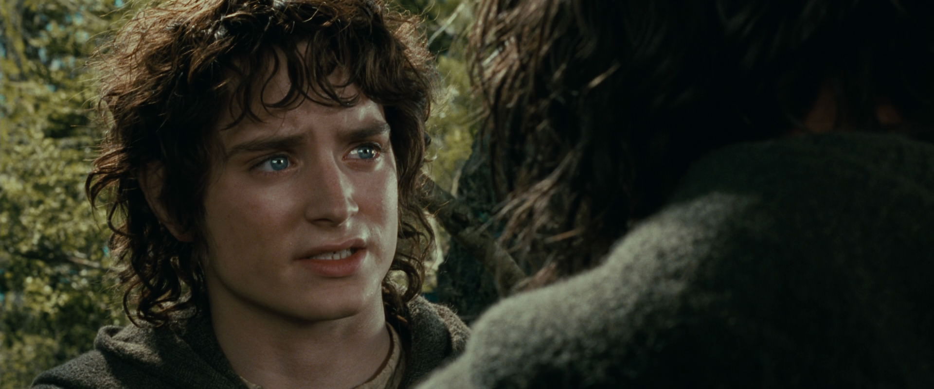 The Lord of the Rings: The Fellowship of the Ring (2001) screencap 21834