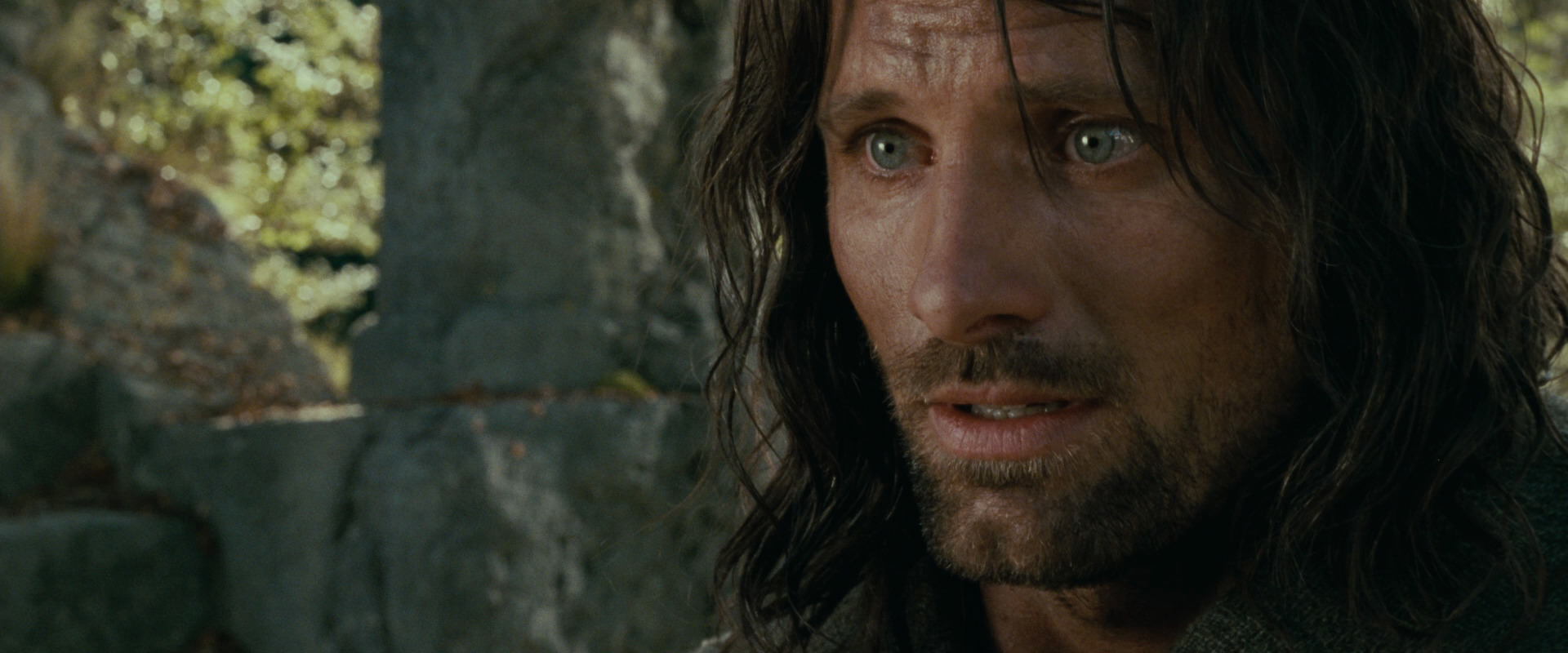 The Lord of the Rings: The Fellowship of the Ring (2001) movie still 21835