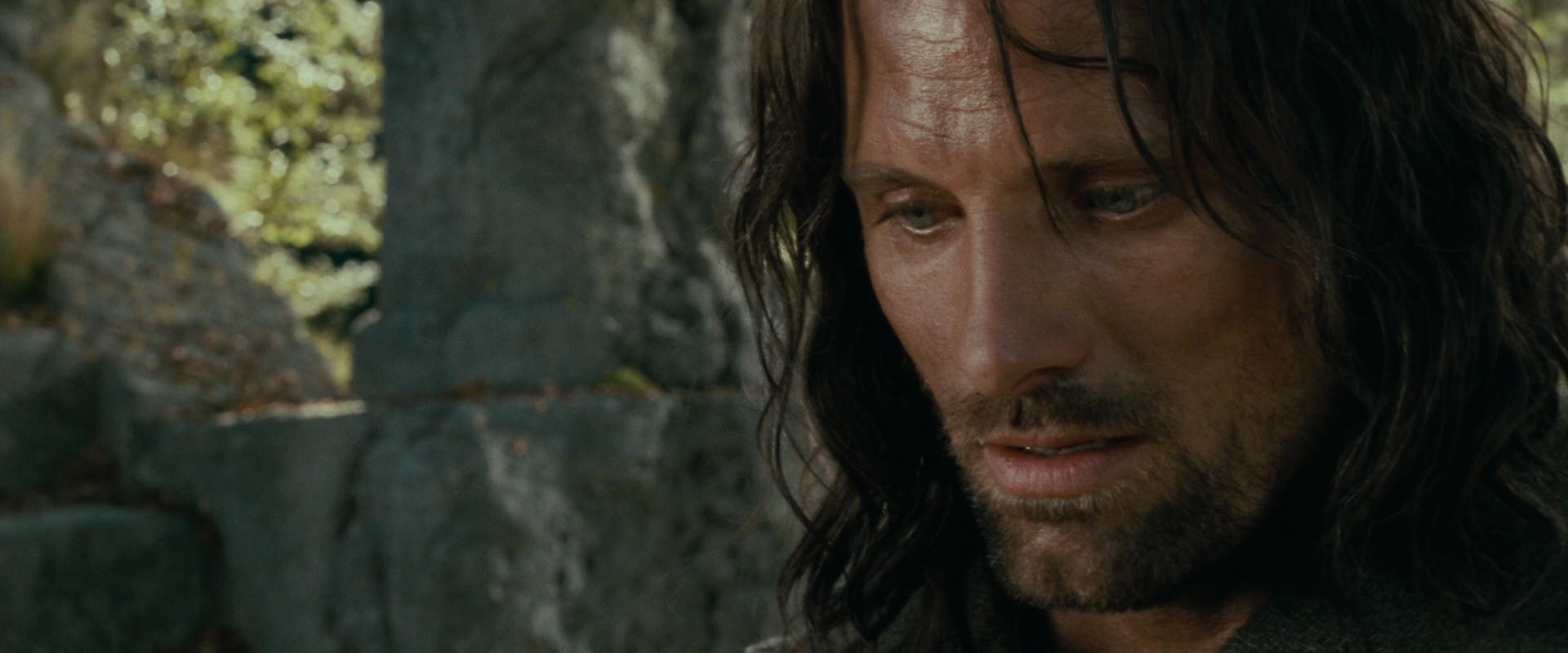 The Lord of the Rings: The Fellowship of the Ring (2001) HD screenshot 21842