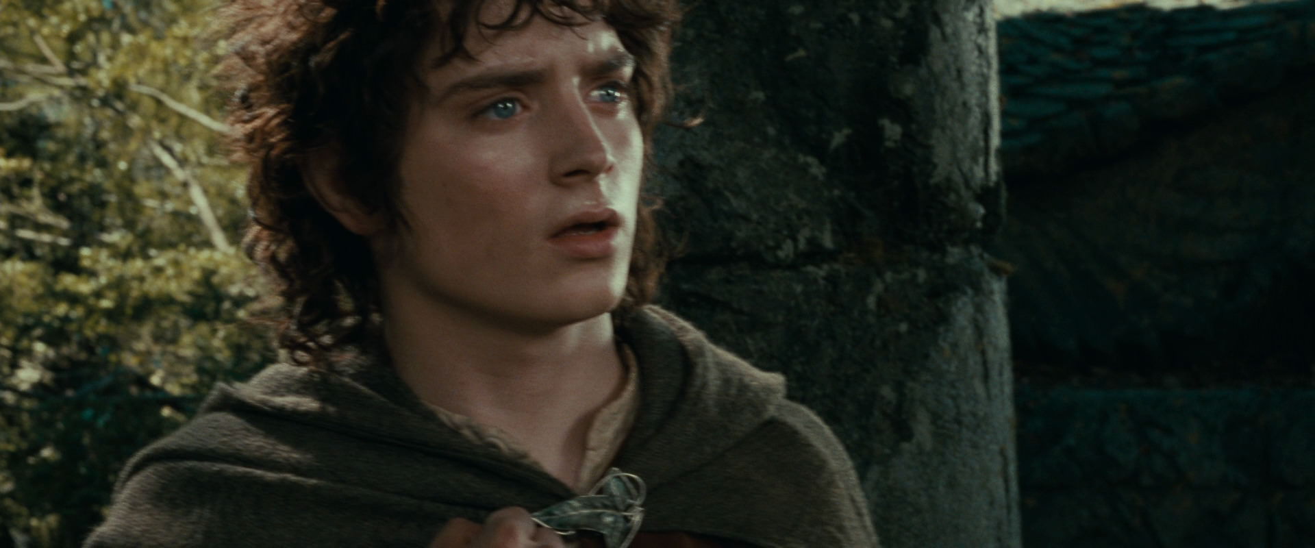 The Lord of the Rings: The Fellowship of the Ring (2001) screencap 21846