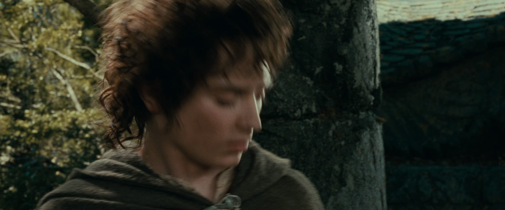 The Lord of the Rings: The Fellowship of the Ring (2001) movie still 21847
