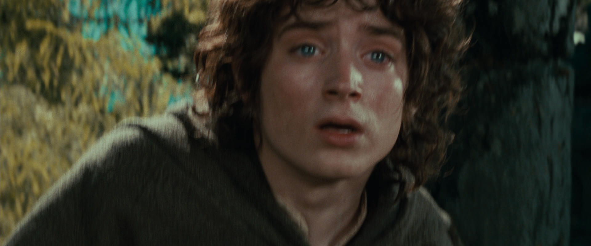 The Lord of the Rings: The Fellowship of the Ring (2001) movie still 21850