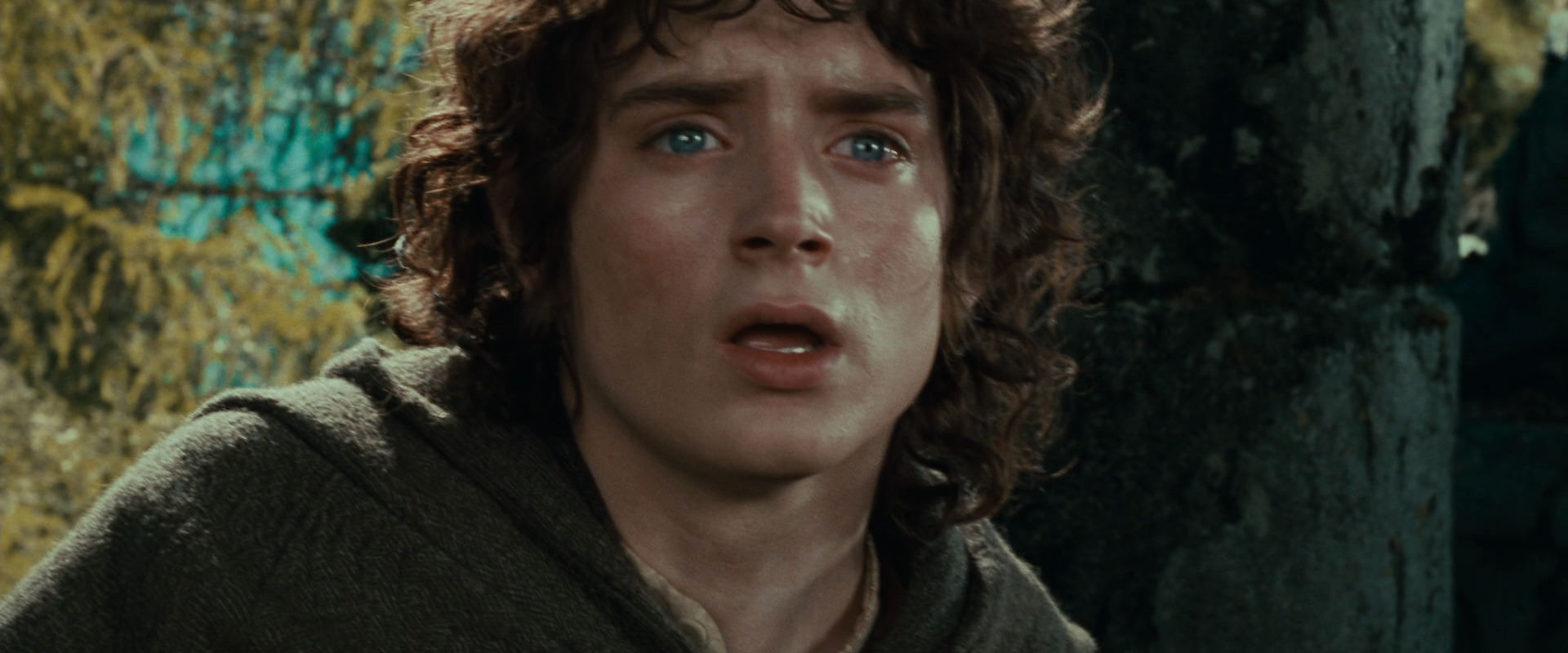 The Lord of the Rings: The Fellowship of the Ring (2001) HD screenshot 21851
