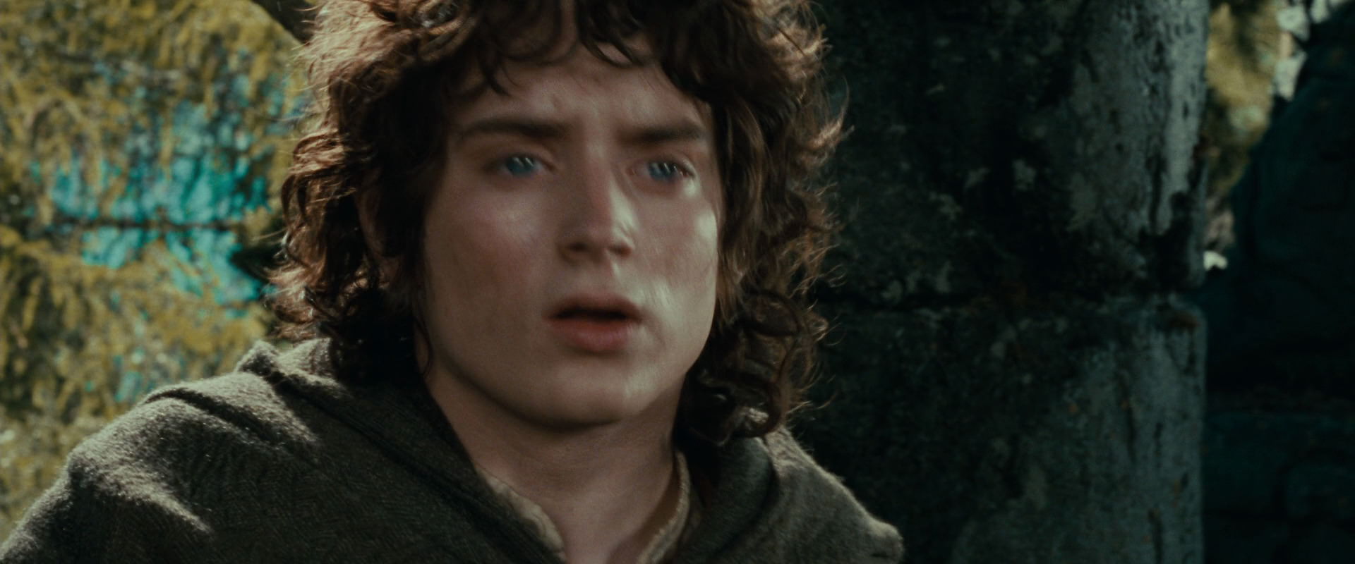 The Lord of the Rings: The Fellowship of the Ring (2001) HD screenshot 21857