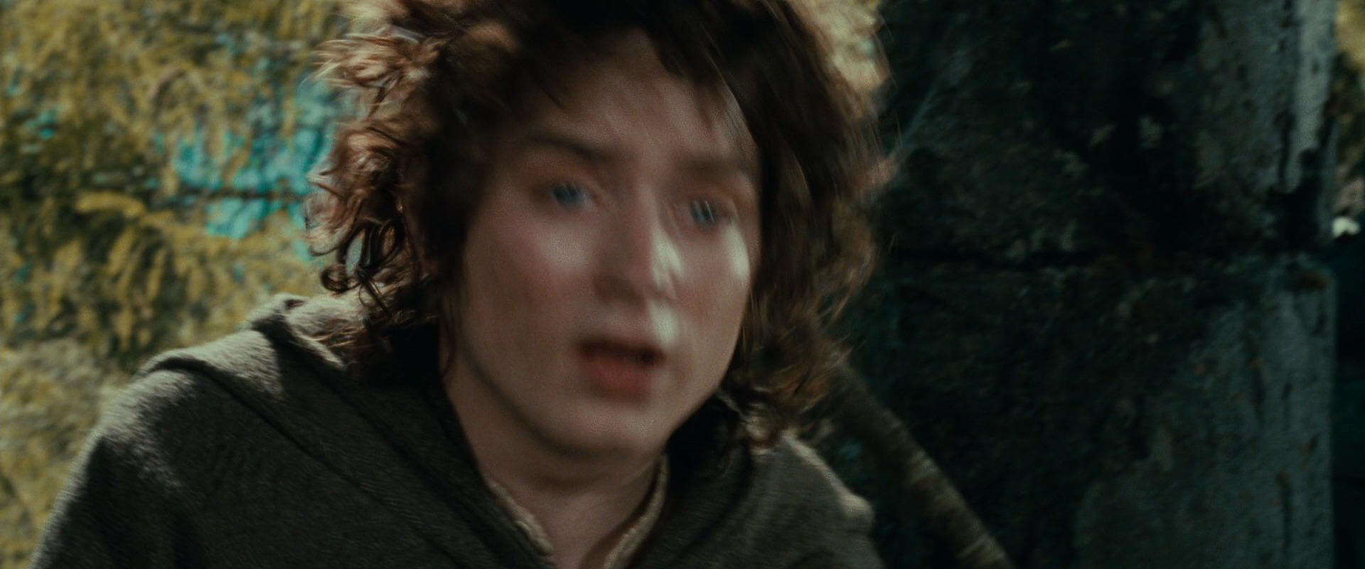 The Lord of the Rings: The Fellowship of the Ring (2001) screencap 21858