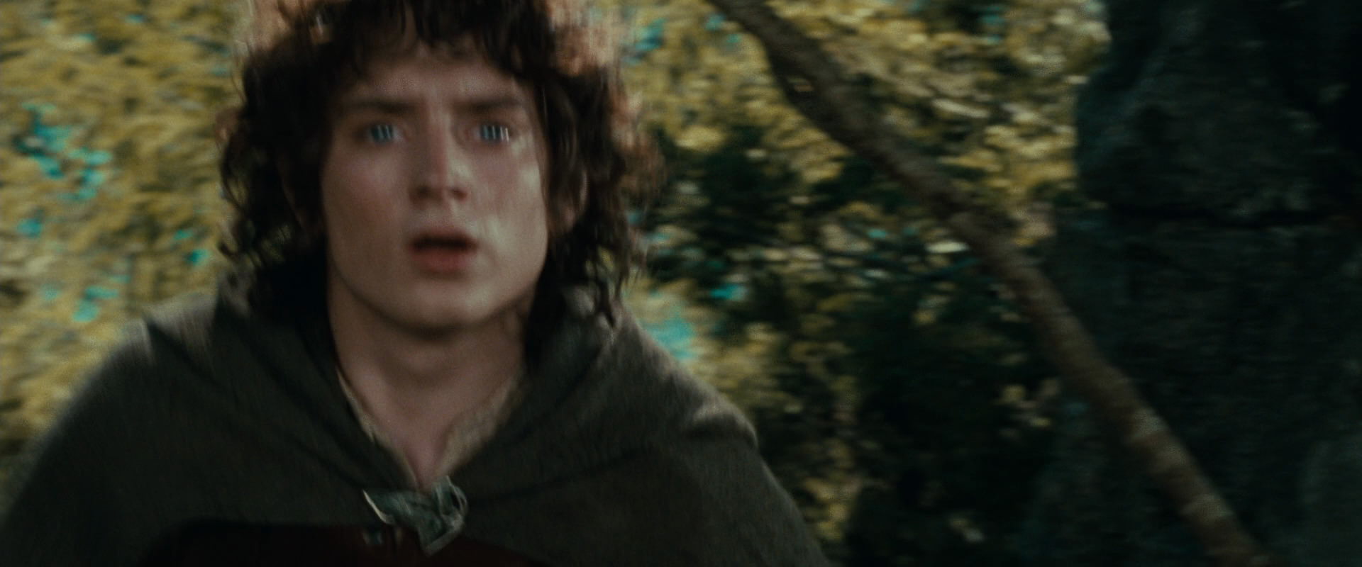 The Lord of the Rings: The Fellowship of the Ring (2001) movie still 21859