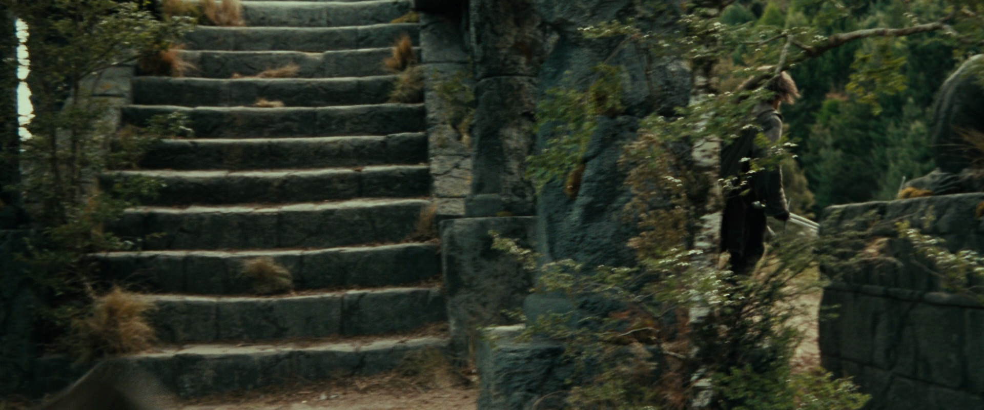 The Lord of the Rings: The Fellowship of the Ring (2001) movie still 21862