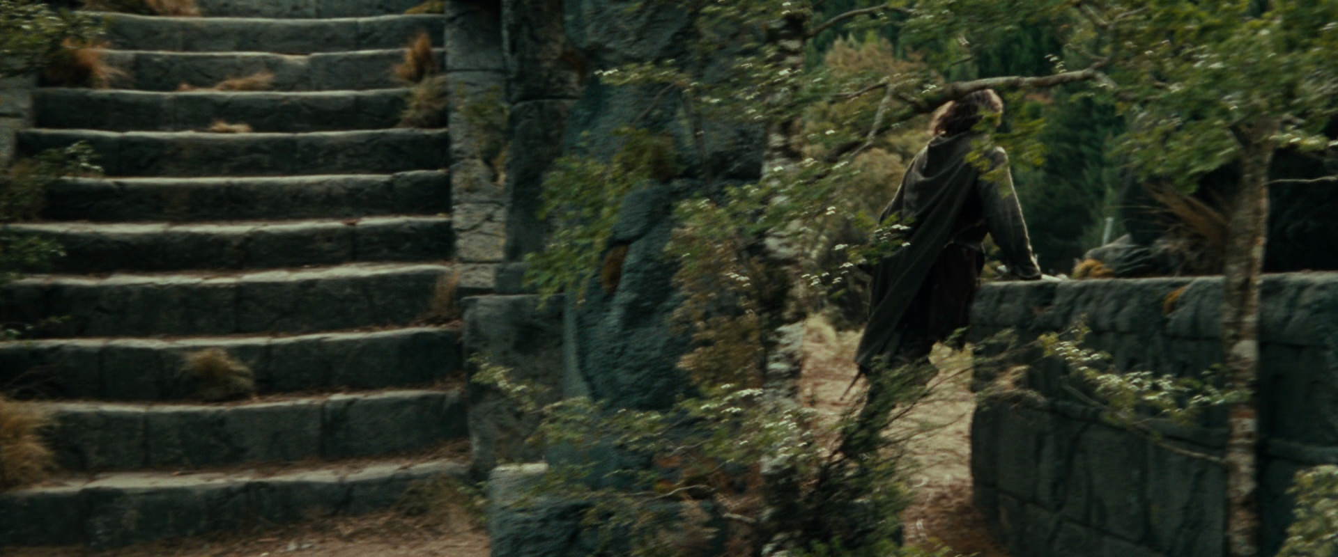 The Lord of the Rings: The Fellowship of the Ring (2001) HD screenshot 21863