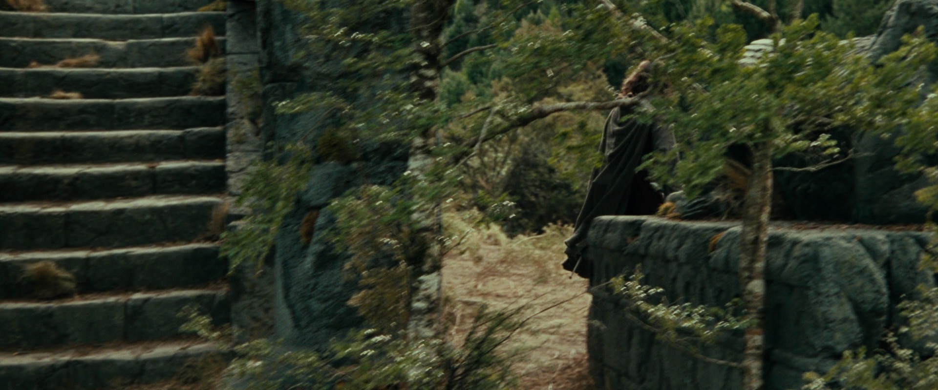 The Lord of the Rings: The Fellowship of the Ring (2001) screencap 21864