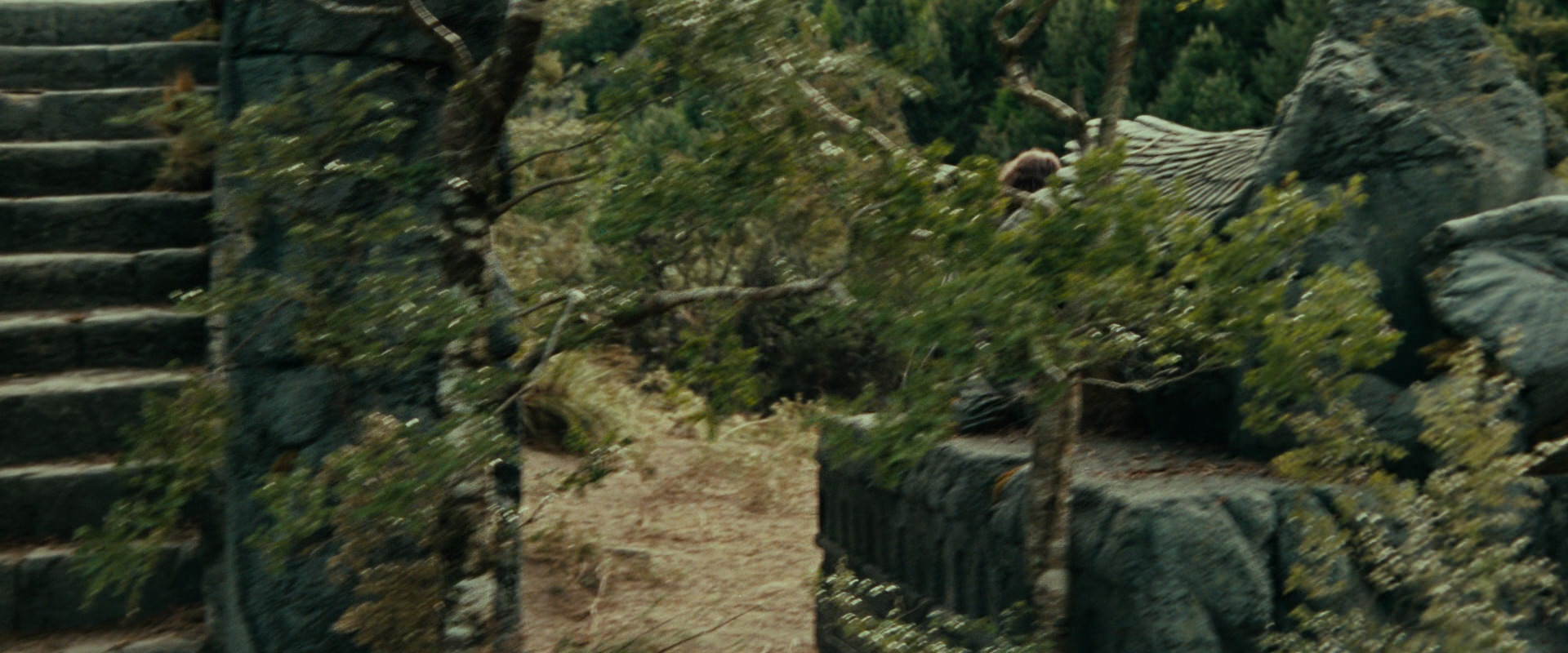 The Lord of the Rings: The Fellowship of the Ring (2001) movie still 21865