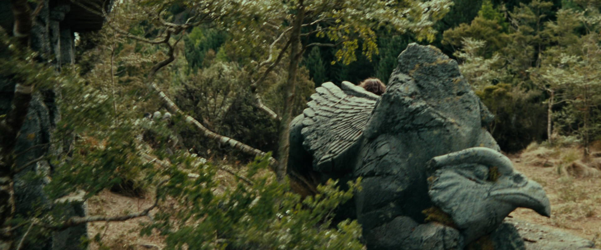 The Lord of the Rings: The Fellowship of the Ring (2001) screencap 21867