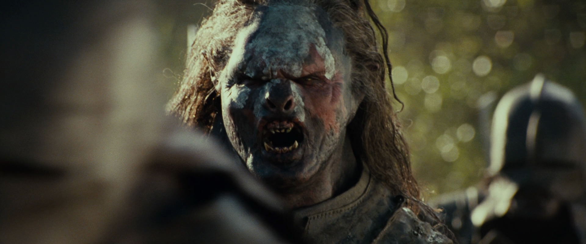 The Lord of the Rings: The Fellowship of the Ring (2001) HD screenshot 21878