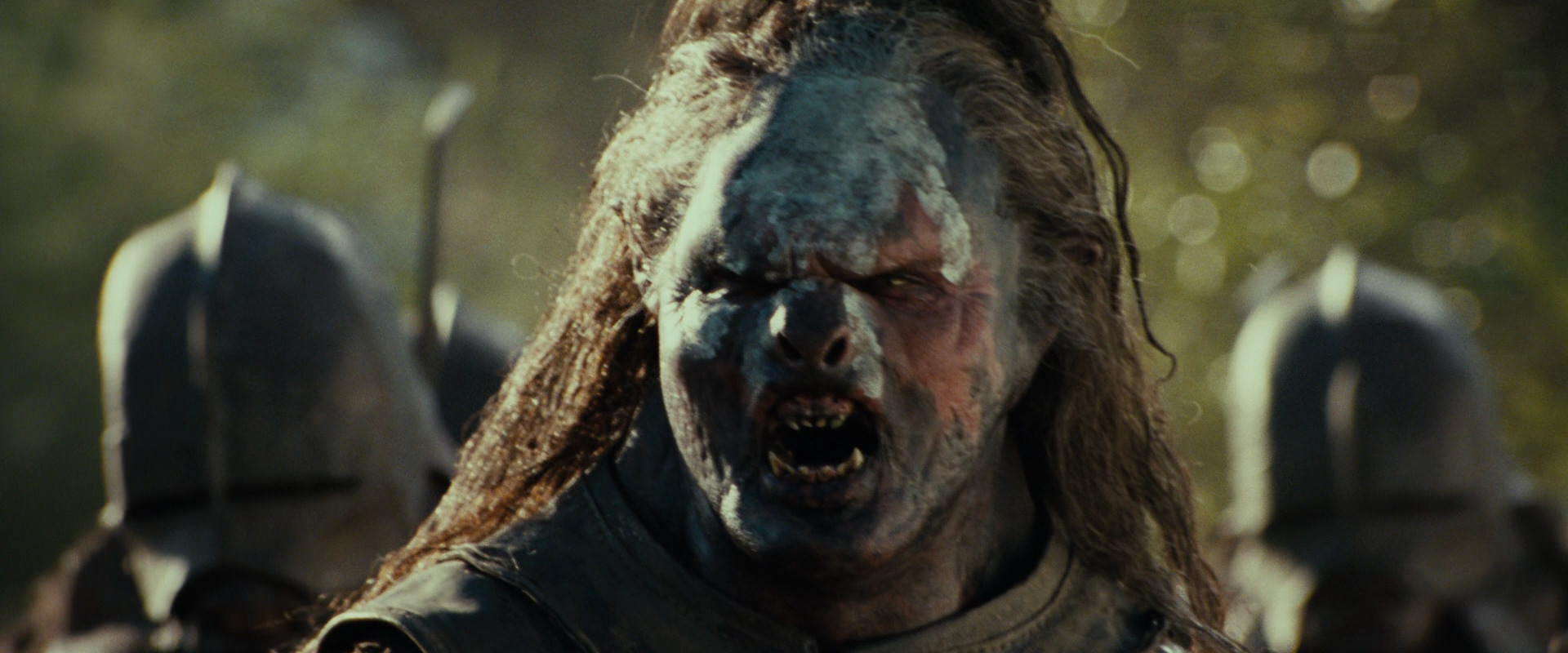 The Lord of the Rings: The Fellowship of the Ring (2001) screencap 21879