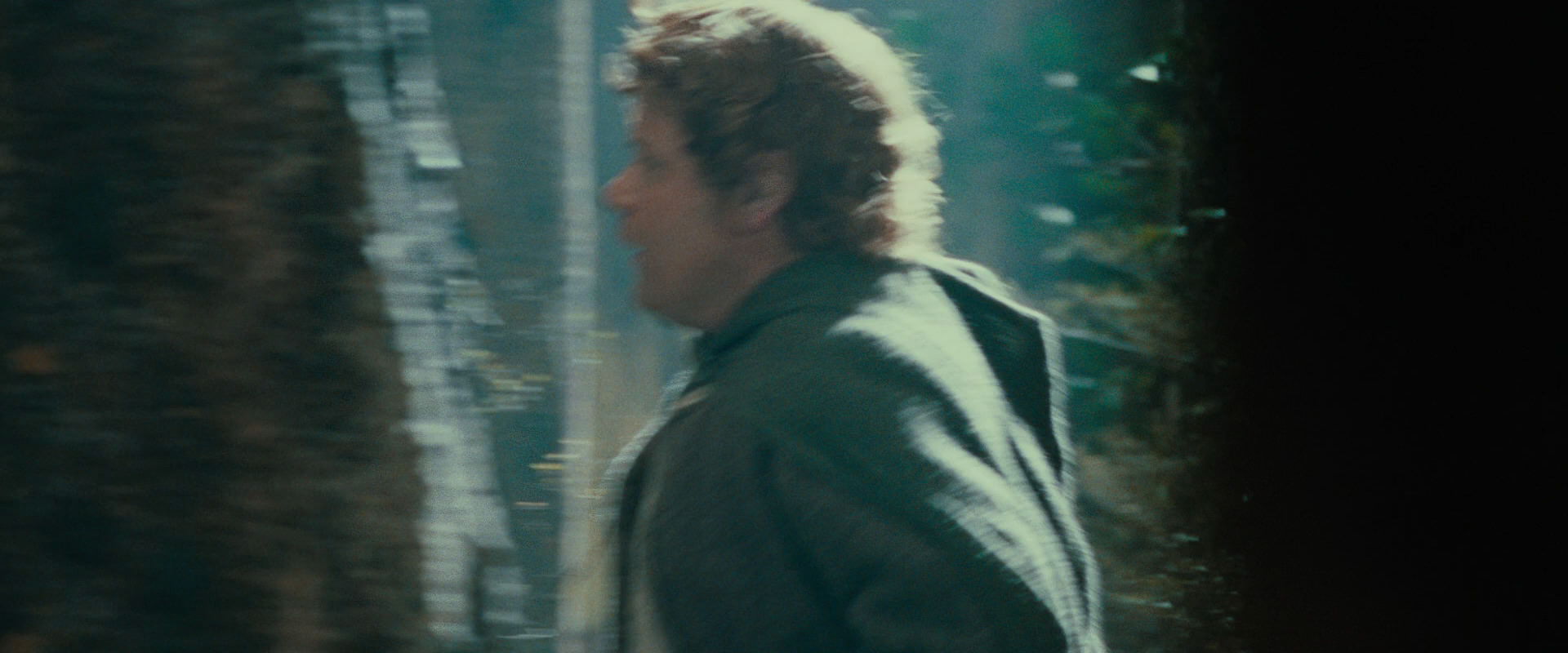 The Lord of the Rings: The Fellowship of the Ring (2001) movie still 21907