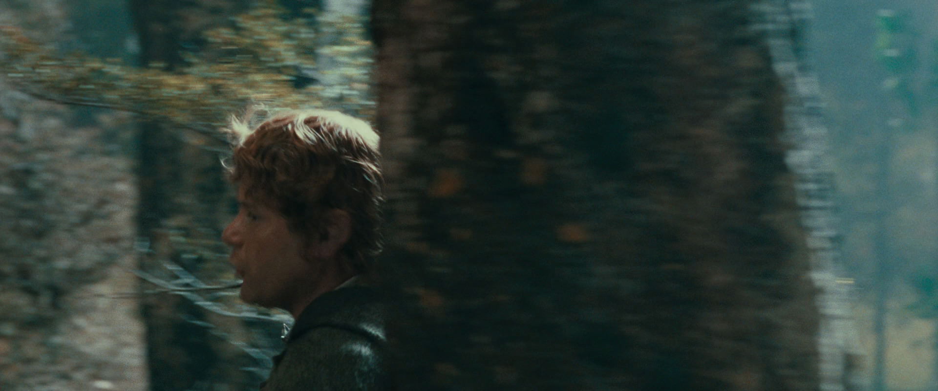 The Lord of the Rings: The Fellowship of the Ring (2001) HD screenshot 21908