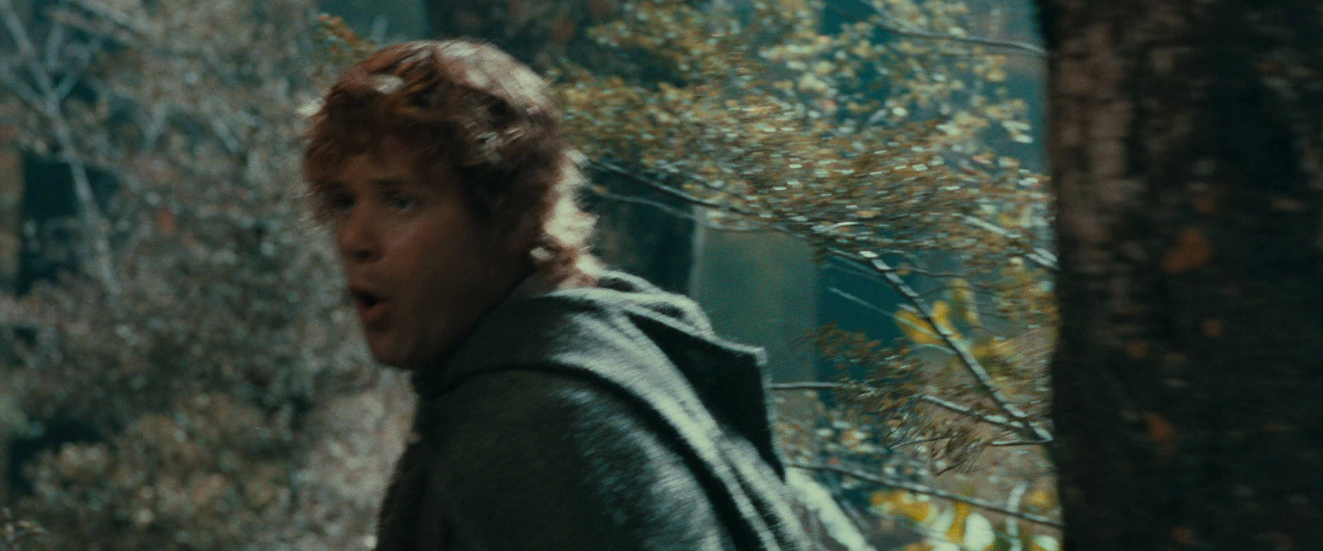 The Lord of the Rings: The Fellowship of the Ring (2001) screencap 21909