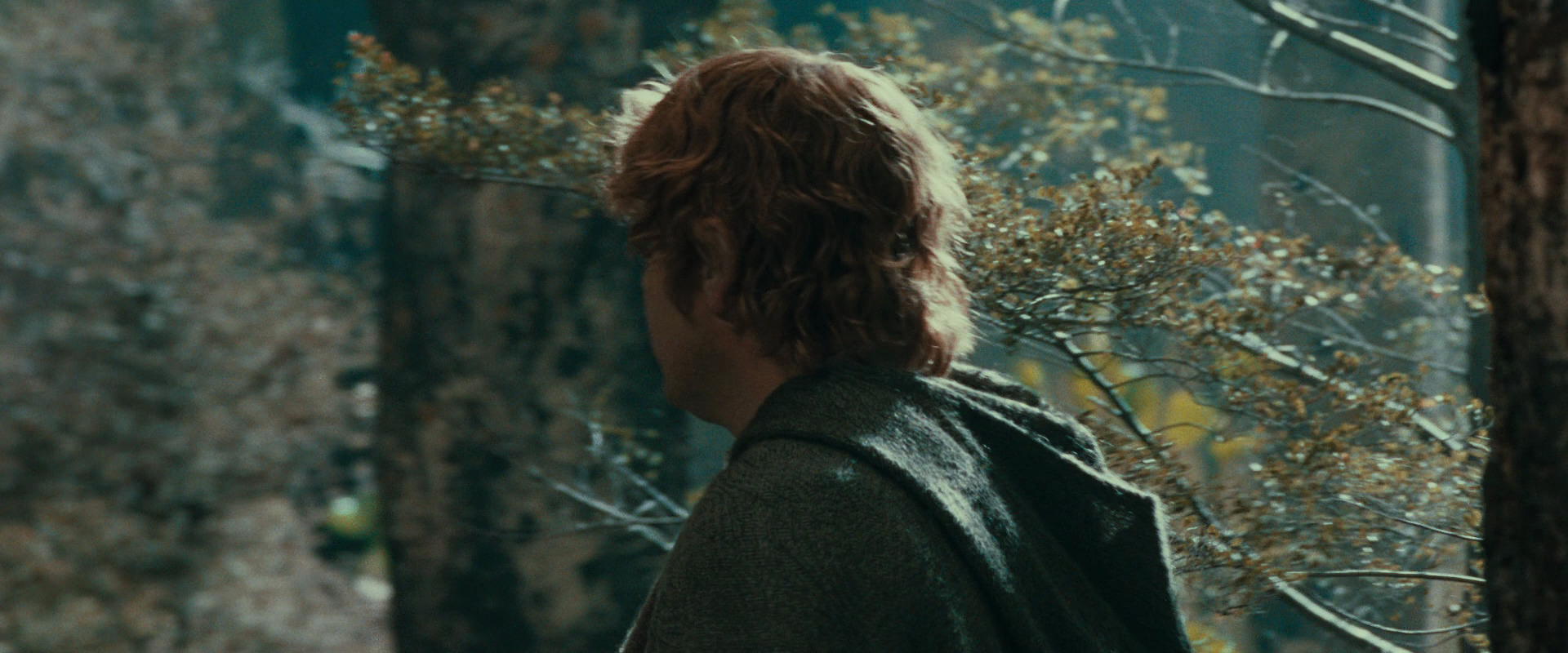 The Lord of the Rings: The Fellowship of the Ring (2001) movie still 21910