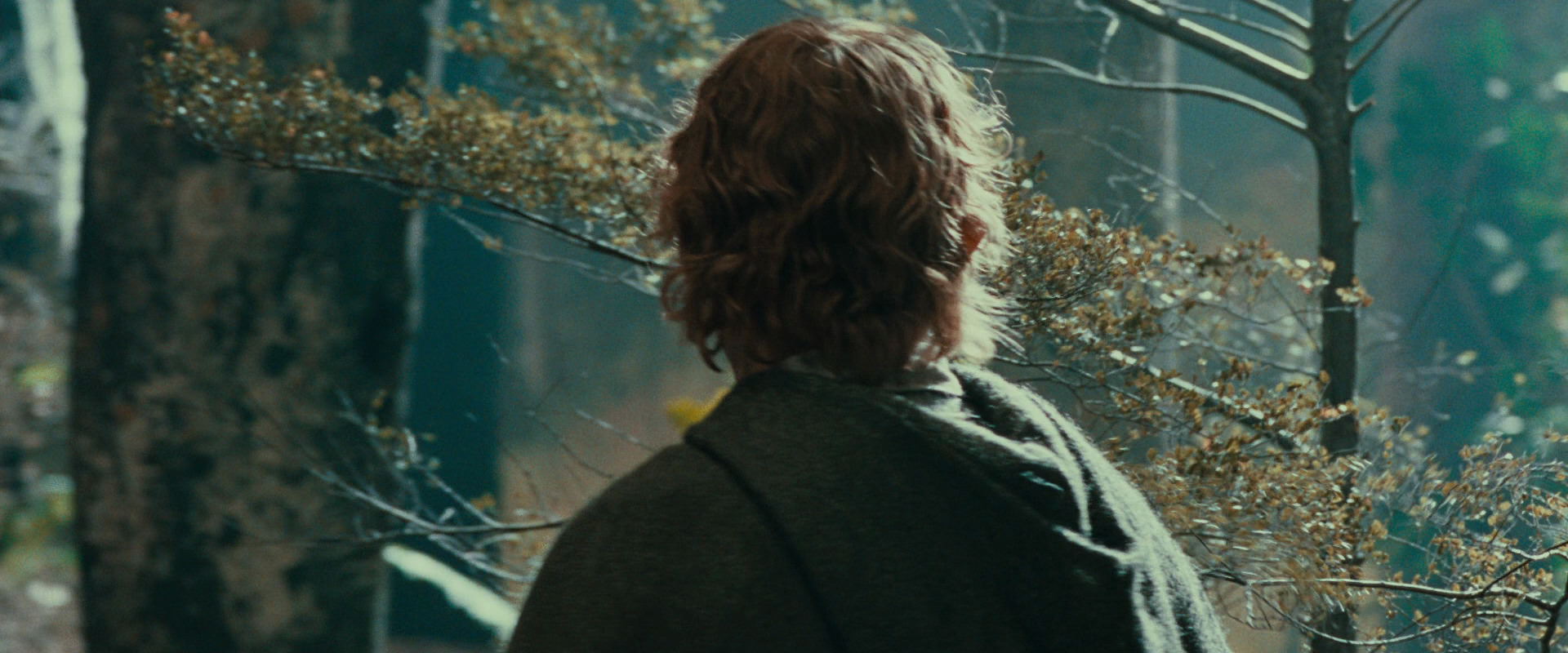 The Lord of the Rings: The Fellowship of the Ring (2001) HD screenshot 21911