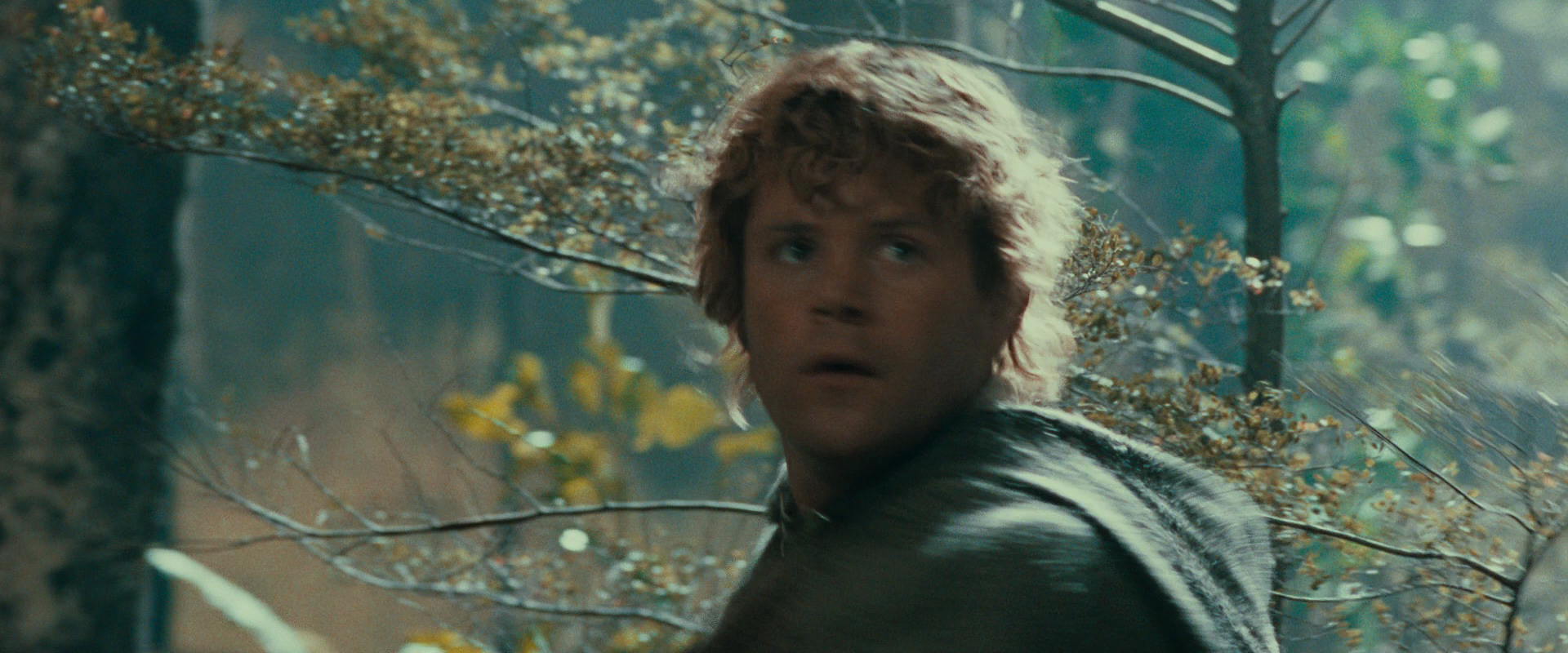 The Lord of the Rings: The Fellowship of the Ring (2001) screencap 21912