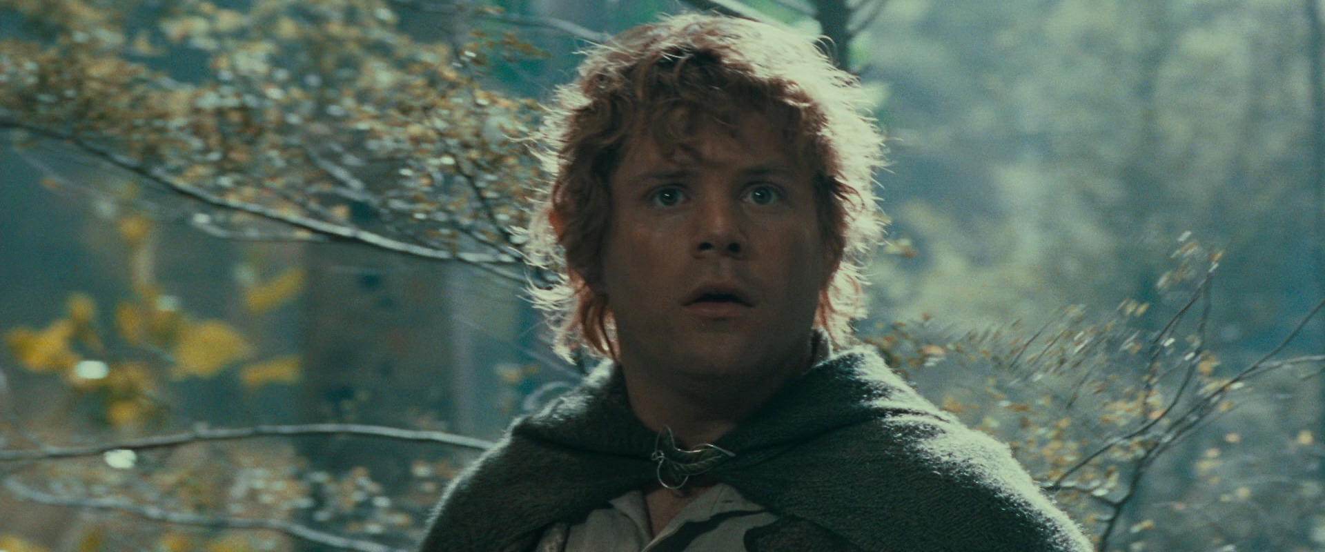 The Lord of the Rings: The Fellowship of the Ring (2001) movie still 21913
